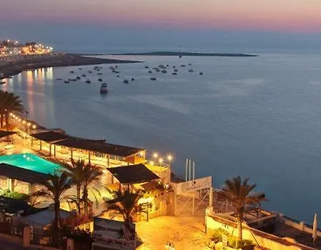 公寓 中央套房公寓 *