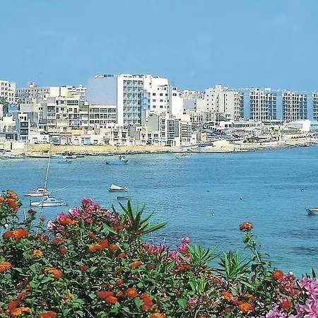 公寓 中央套房公寓 *